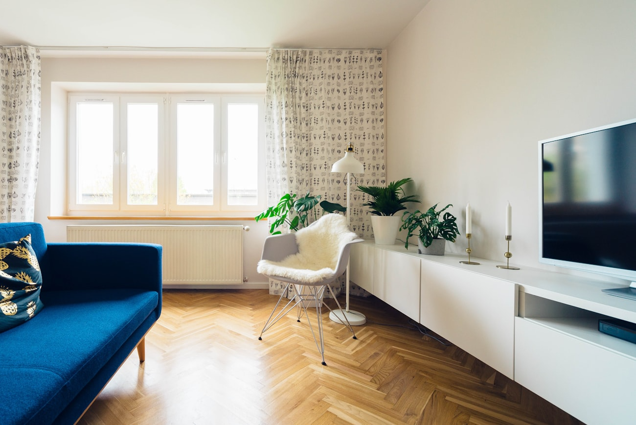 Quiet, light-filled room with soft natural light and a plant